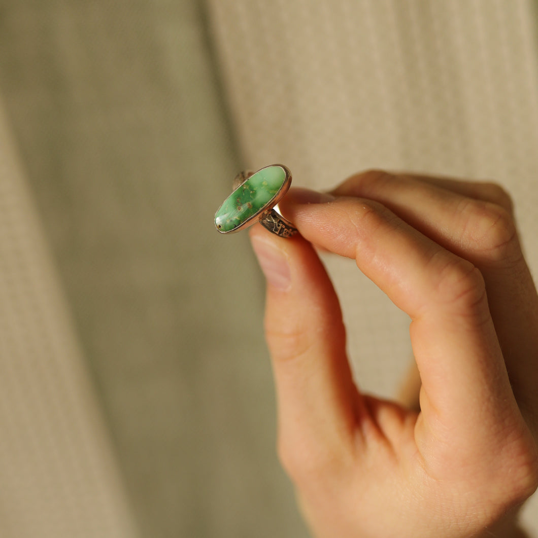 Surfboard Sonoran + Vintage Band