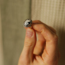 Load image into Gallery viewer, Baby White Buffalo
